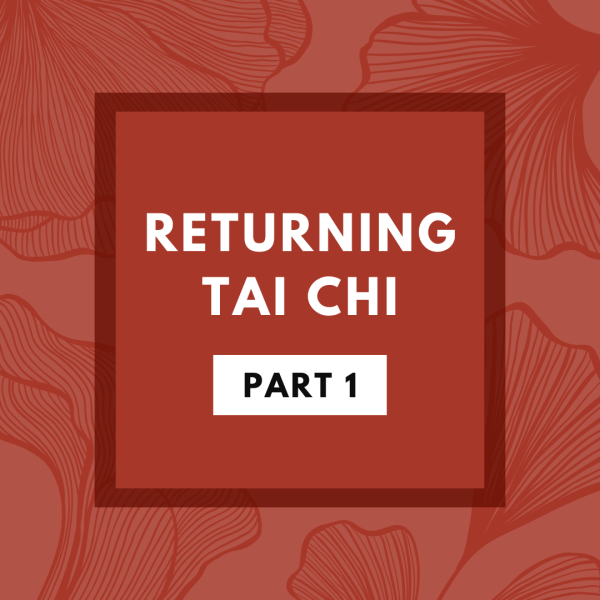 Returning Tai Chi [Part 1]