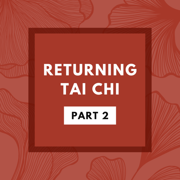 Returning Tai Chi [Part 2]